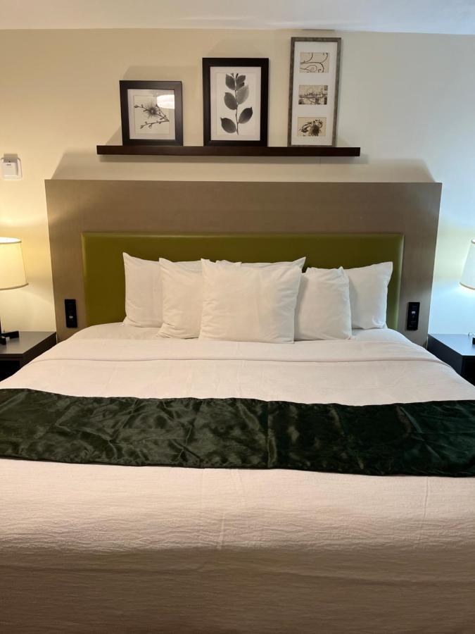 Pictured Rocks Inn And Suites Munising Buitenkant foto